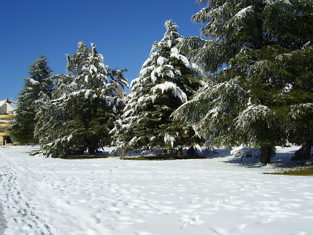 Ifrane en Neige - 6 by elakramine