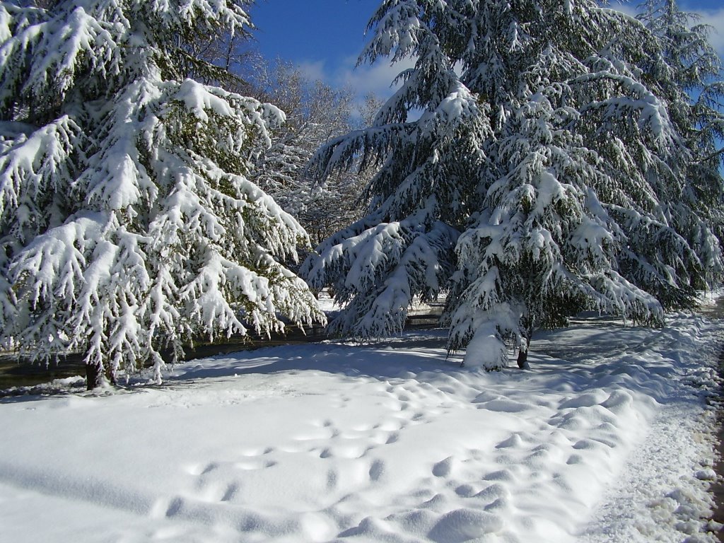 Ifrane en Neige by Elakramine