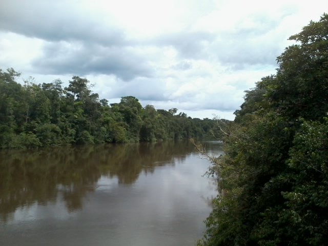 IGARAPÉ NA RODOVIA TRANSAMAZÔNICA by amarildo varela