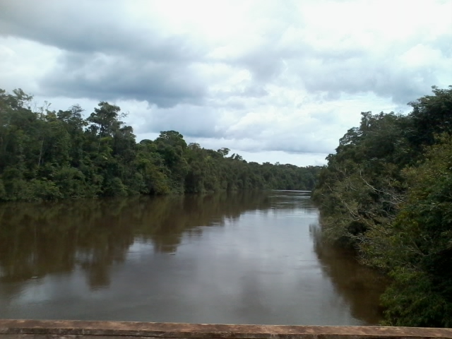 IGARAPÉ NA RODOVIA TRANSAMAZÔNICA by amarildo varela