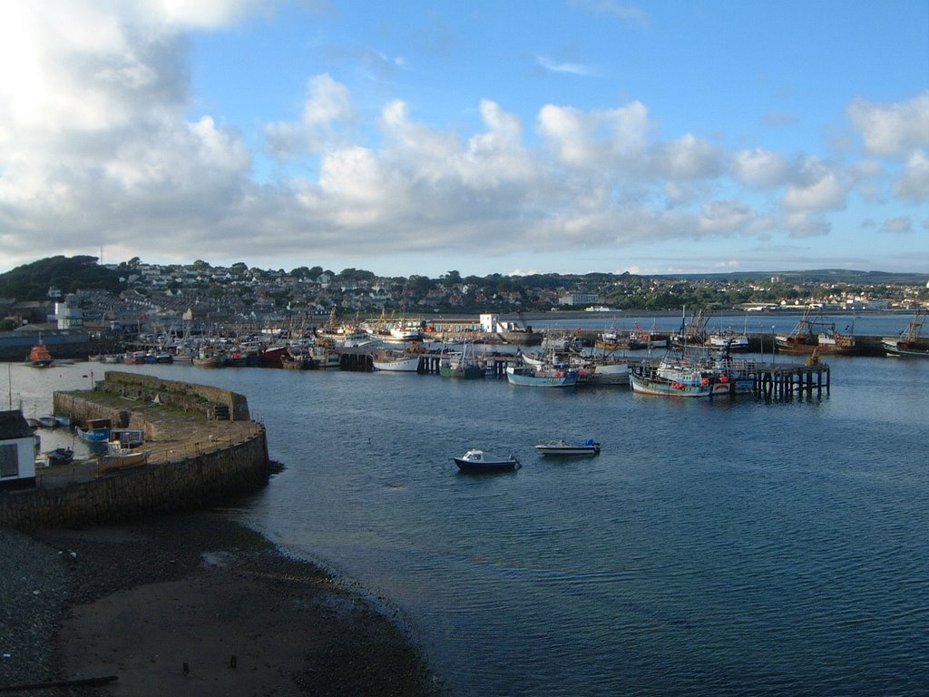 Newlyn by Stephen Rogers