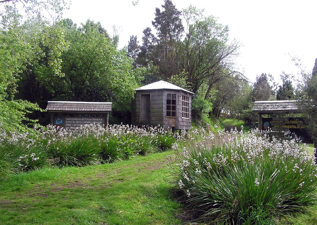 Parque Botanico en Isla Aucar, Chiloe by Gmo Adolfo