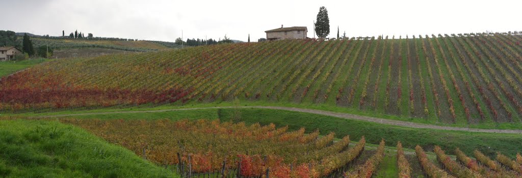 Autumnales. Geometrías y colores de las viñas. Panorámica. Quarate (Bagno a Ripoli, Provincia de Florencia), Italia by hector.tierno