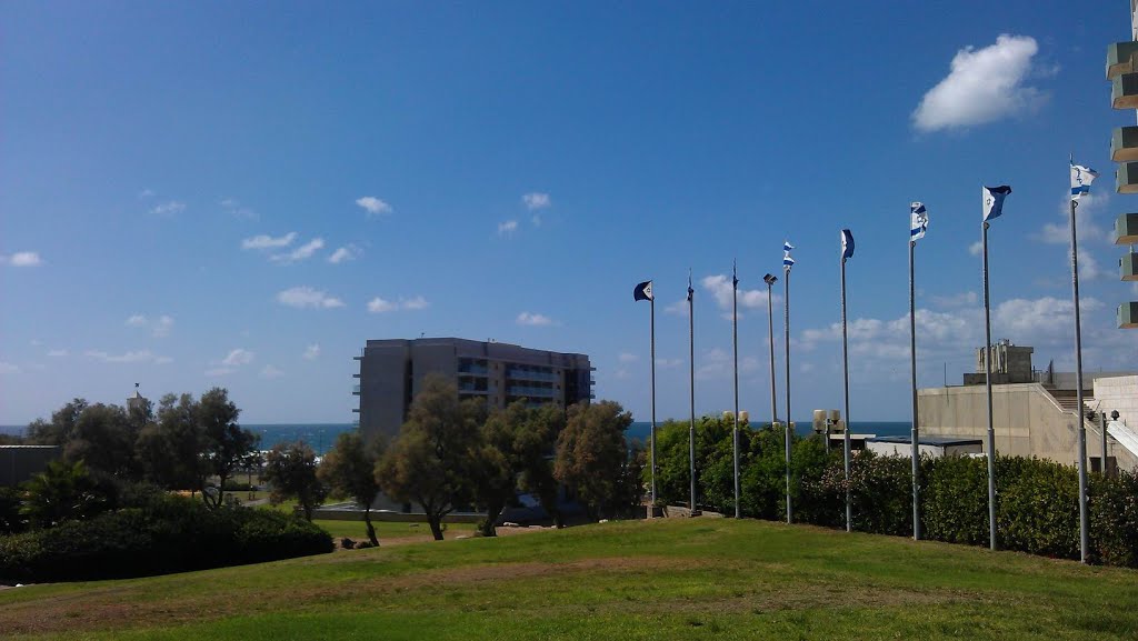 Towards the sea from Elisheva garden by vagab0nd