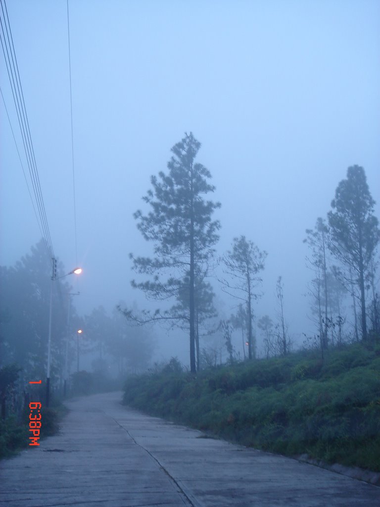 PAISAJE CERCA CAPILLA VIRGEN DE LA FORTUNA, VEGA DE LA PIPA, RUBIO, TACHIRA, VENEZUELA by Oscar Chacón