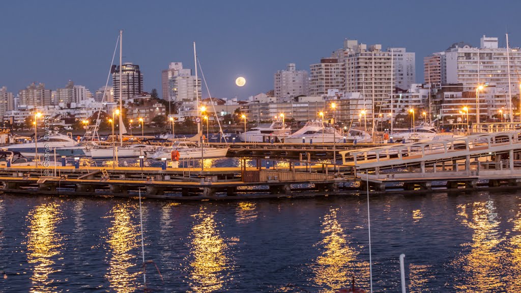 Puerto de Punta del Este, Uruguay by Gabriel Durdos