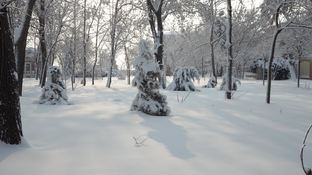 Gradina mare, Braila, Romania by Andreea Cristiana