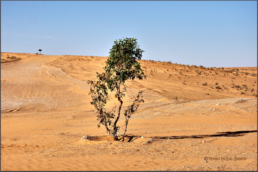 Beginn der Sahara by EA. Stoick