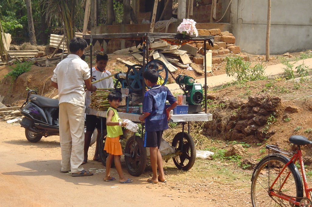 Sugar Cane Drink by Steve Mail