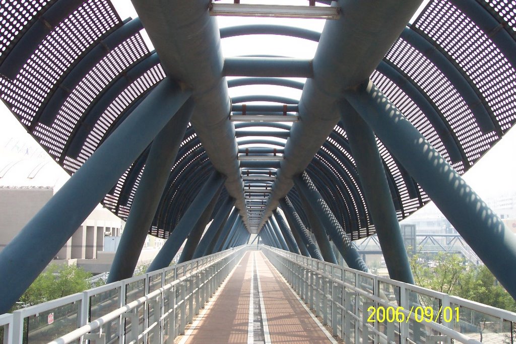 TianJin TEDA High Bridge by zjpcool