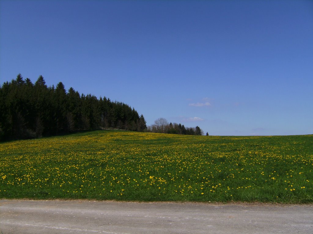 Landschaftsausblick by GVV Donau-Heuberg