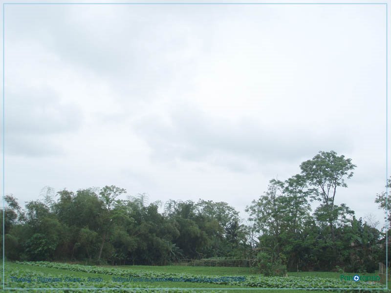 Làng quê Duy Tân by Vietnam - Paracels