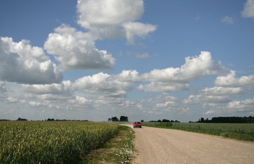 Zemgales vidienē (Midland of Zemgale) by Maris Celmins