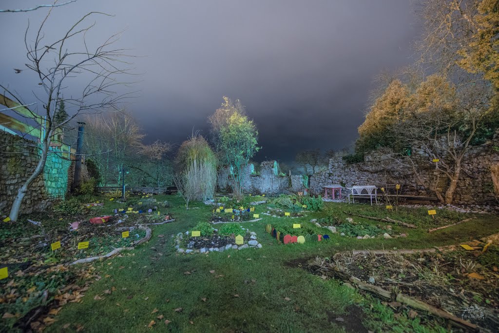 Burglengenfeld der Kräutergarten bei Nacht by Archiverlen