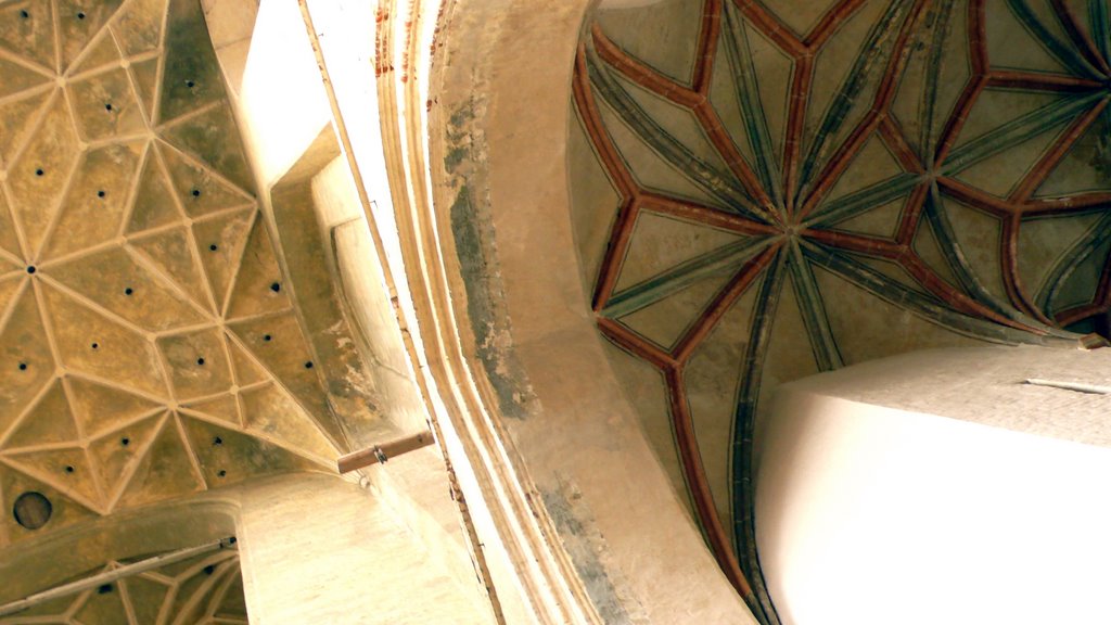 Church Ceiling by antenna