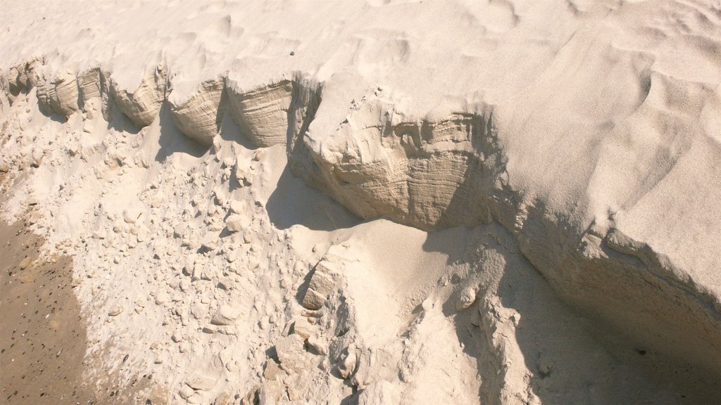 Beach Sand by antenna