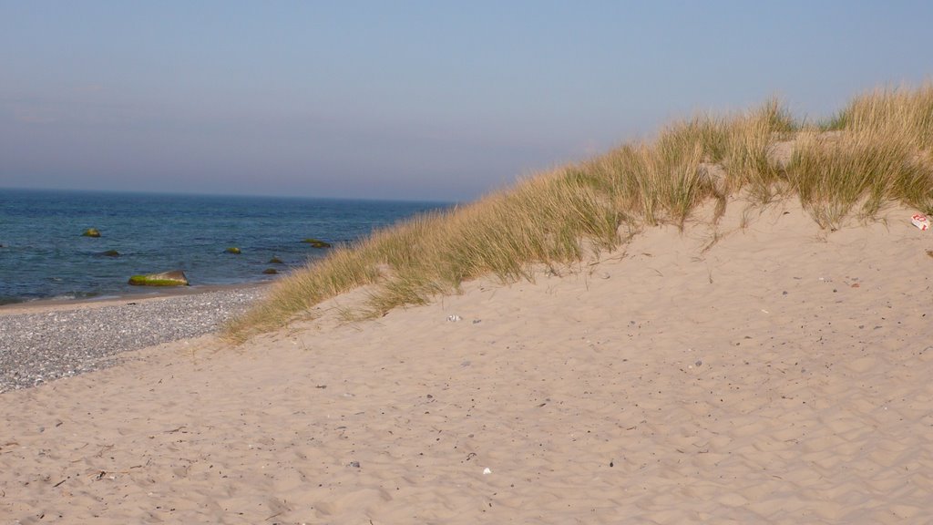 Beach Dune by antenna