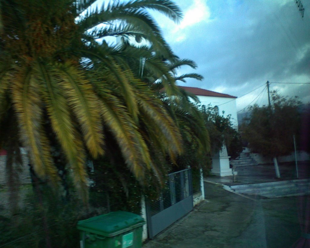 Palm Tree, and Church in the behind, at Ampelofyto by ΒΜ