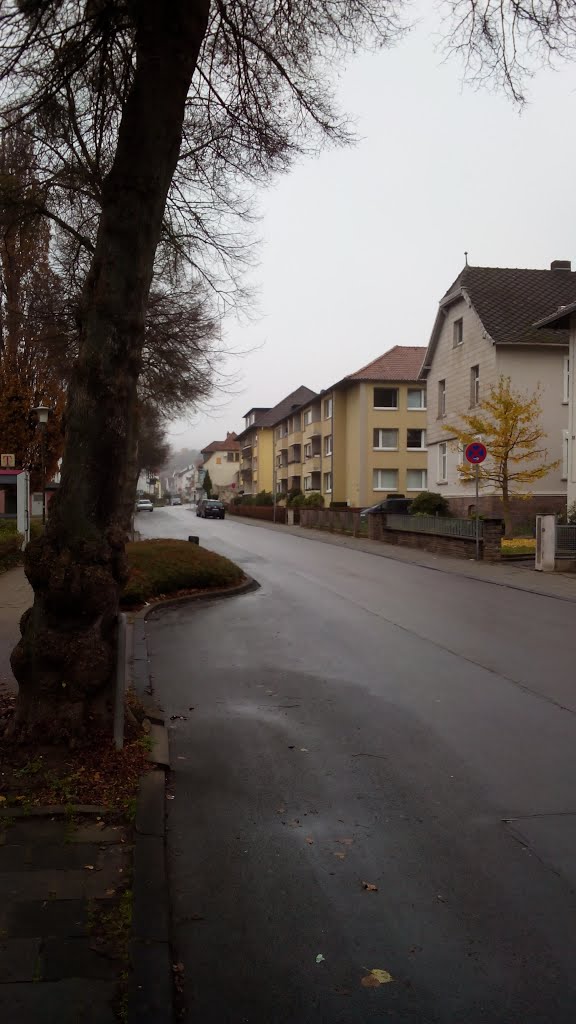 Oesdorfer Straße by Maximilian Levie