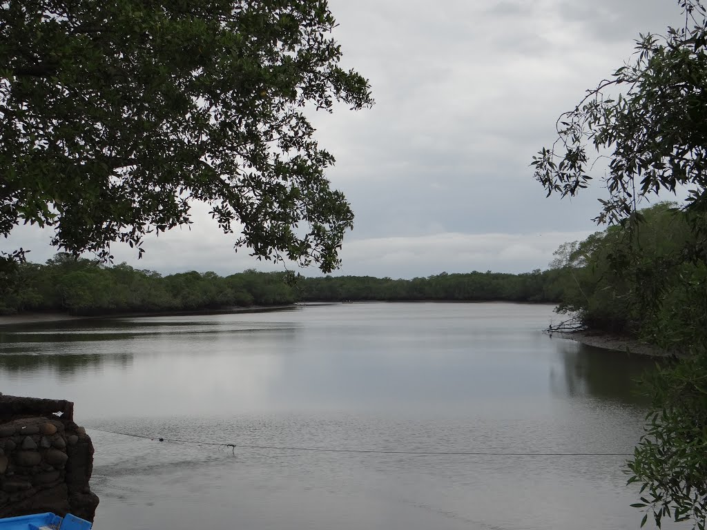 Cerca del muelle de Chomes, Puntarenas by Gino Vivi