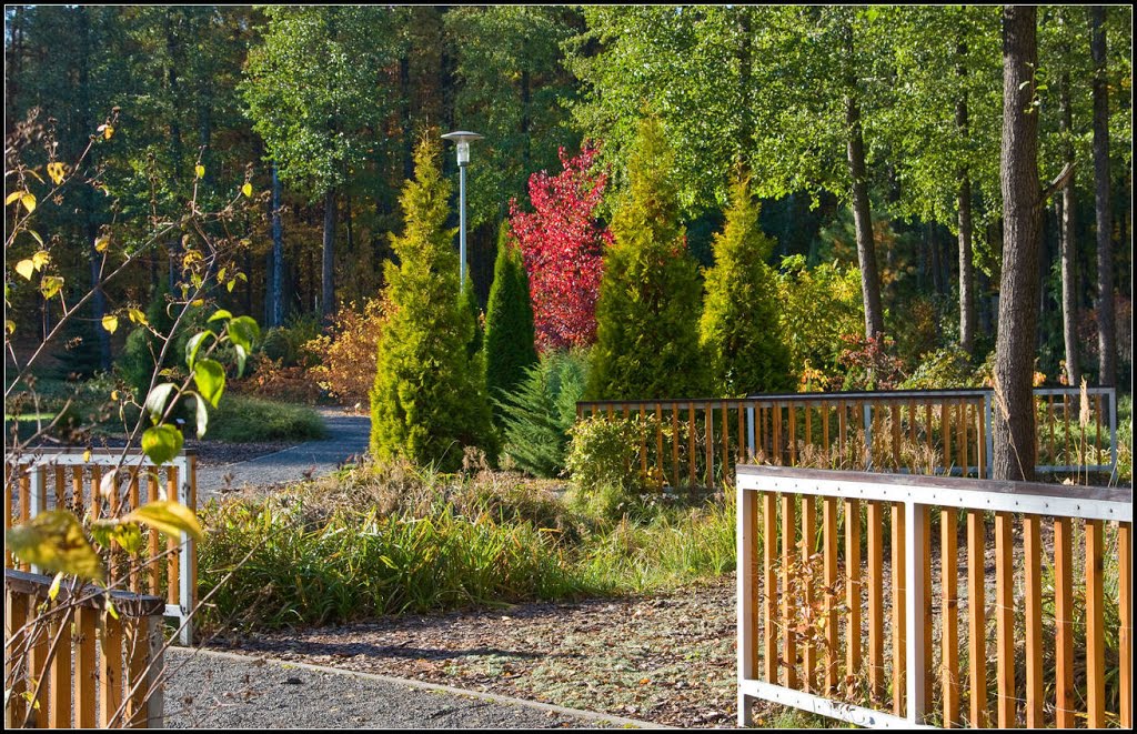 Autumn in the botanical garden. by edw@rd04