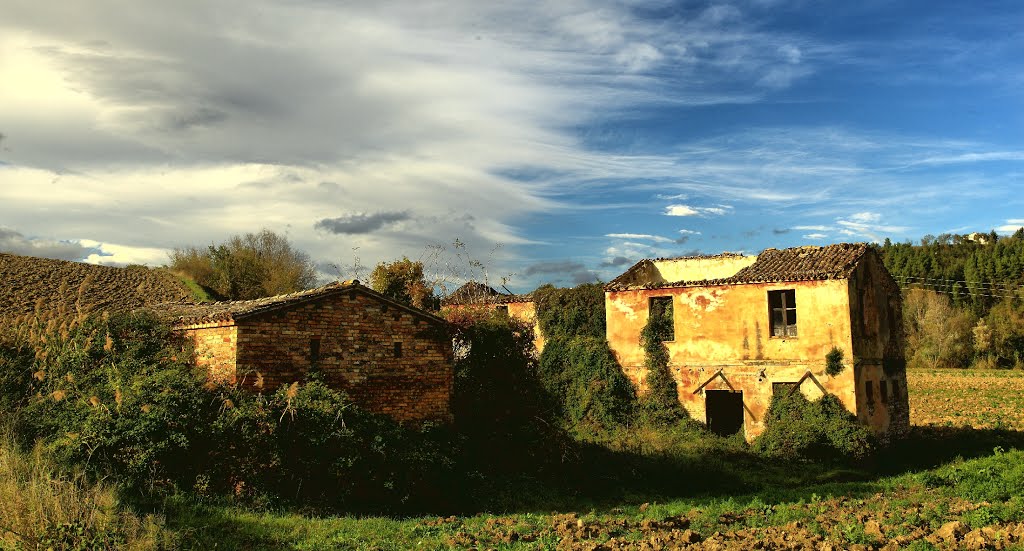 Campagna d'Abruzzo by di turi domenico