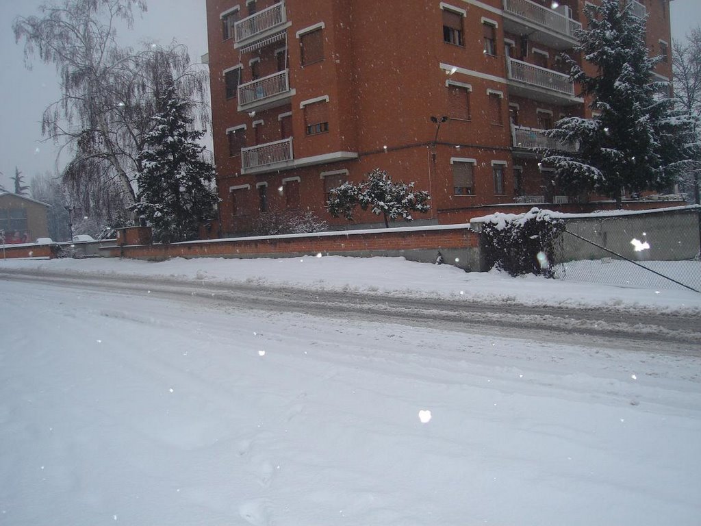 Asti ESE 4/1/08 25cm di neve by robyrto