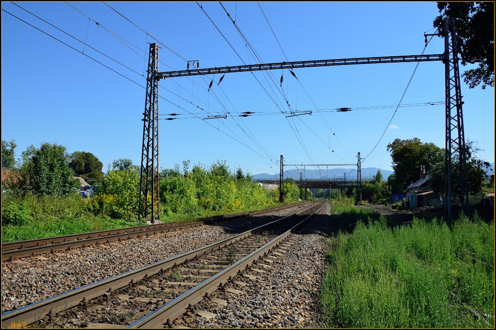 Železničná trať č.180, smer Ružomberok by HomerJ.