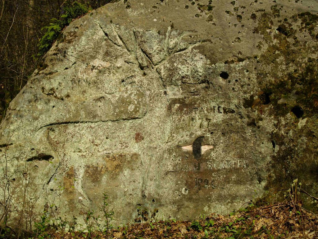 Deer Rock Carvings by Blue Maple Photograp…