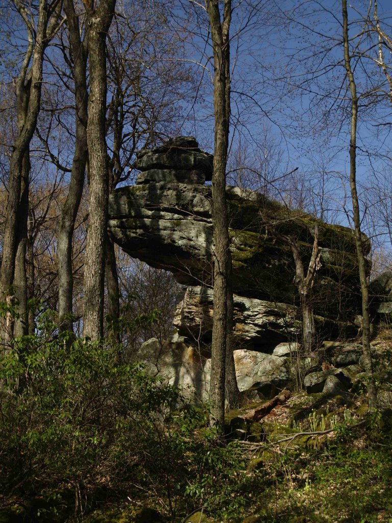 Lookout Rock by Blue Maple Photography