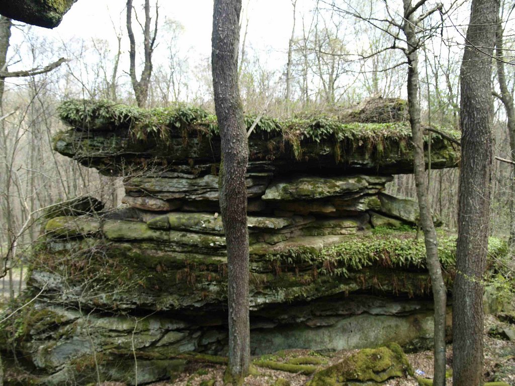 Umbrella Rock by Blue Maple Photography