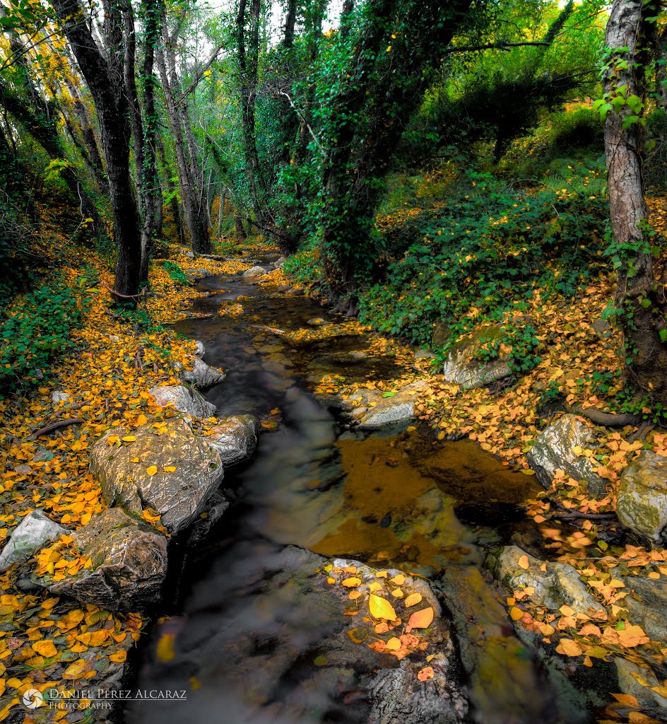 Río Múrtiga, Sierra de Aracena, Huelva by Daniel Pérez Alcaraz