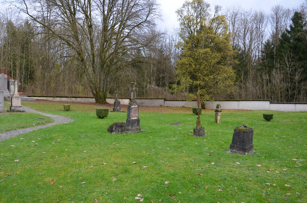 Cimetière communal, Beaumont-en-Verdunois (Village Détruit) 14/18, France by Oslo10