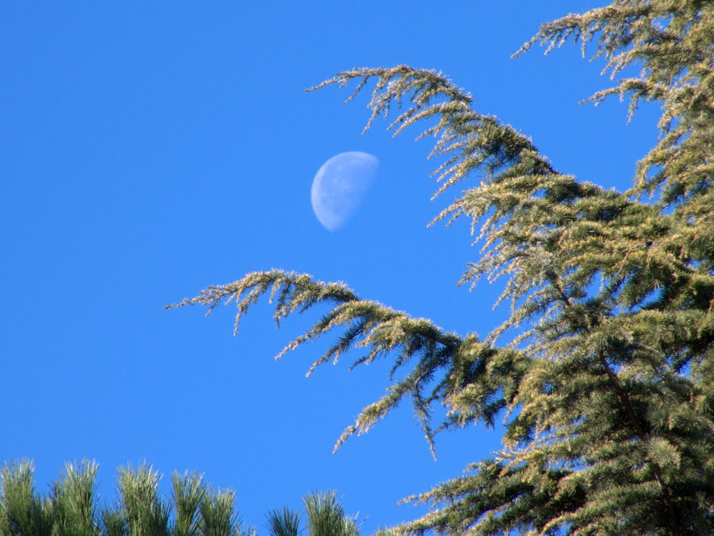 La luna sobre Benagéber by j.carlosballester