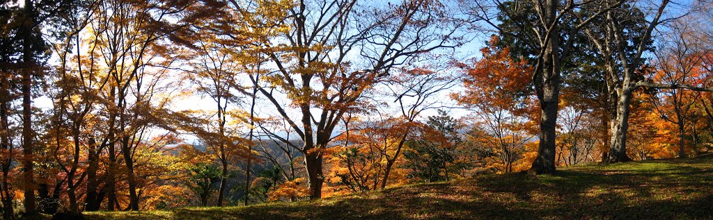 Autumn comes to the garden of the castle by addh Save Panoramio