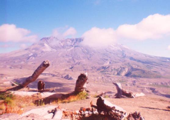 Debris from Mout Saint Helens, July 2002 by Ryan Kelly