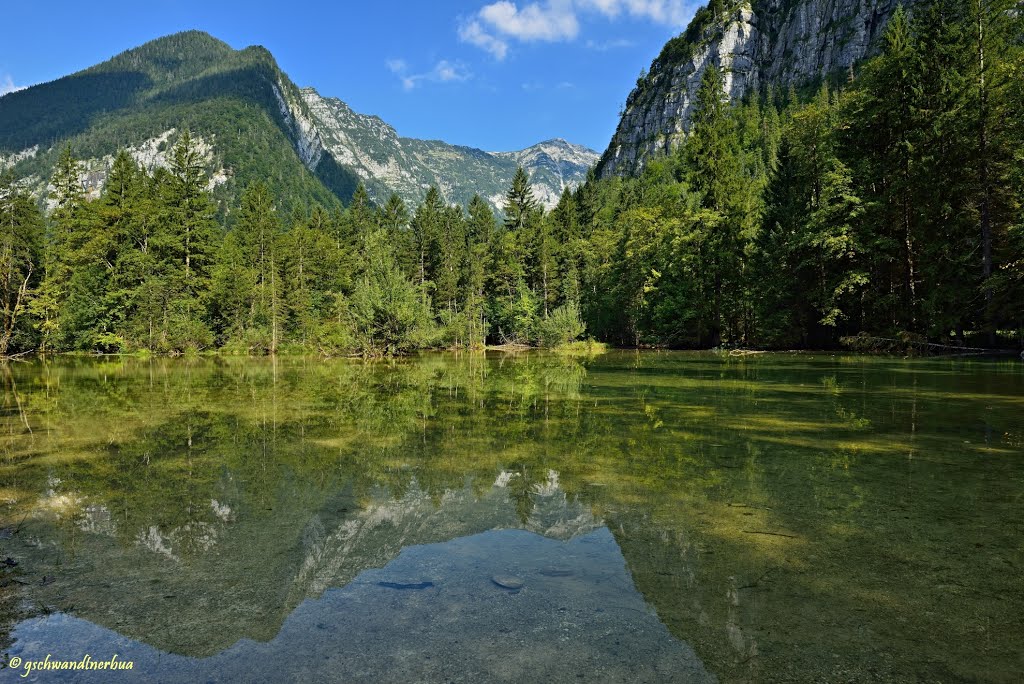 Naturschutzgebiet Koppenwinkellacke bei Obertraun | Salzkammergut by gschwandtnerbua