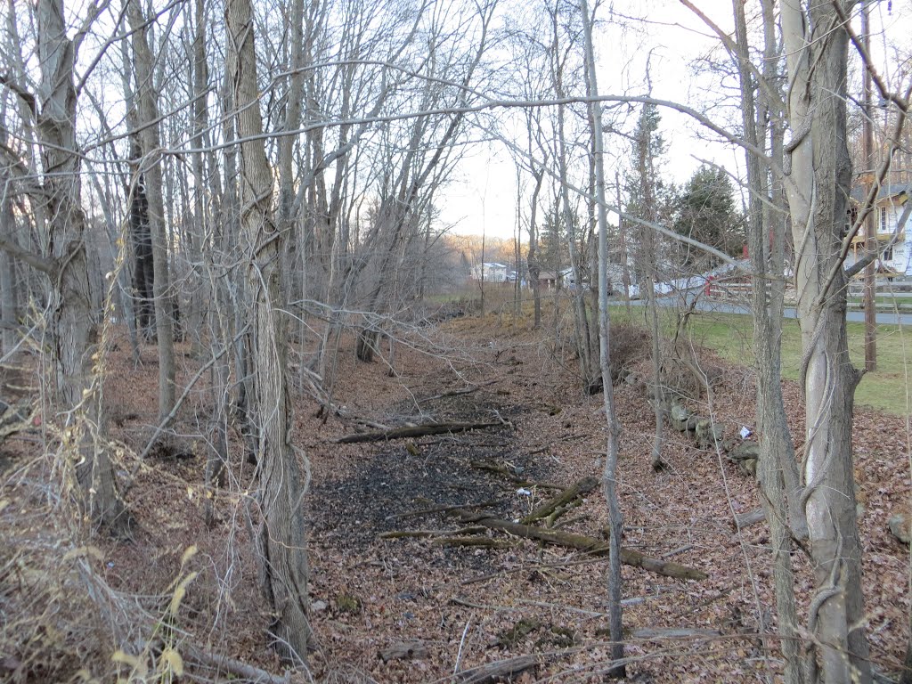 Former Morris Canal Bed by Adam Elmquist