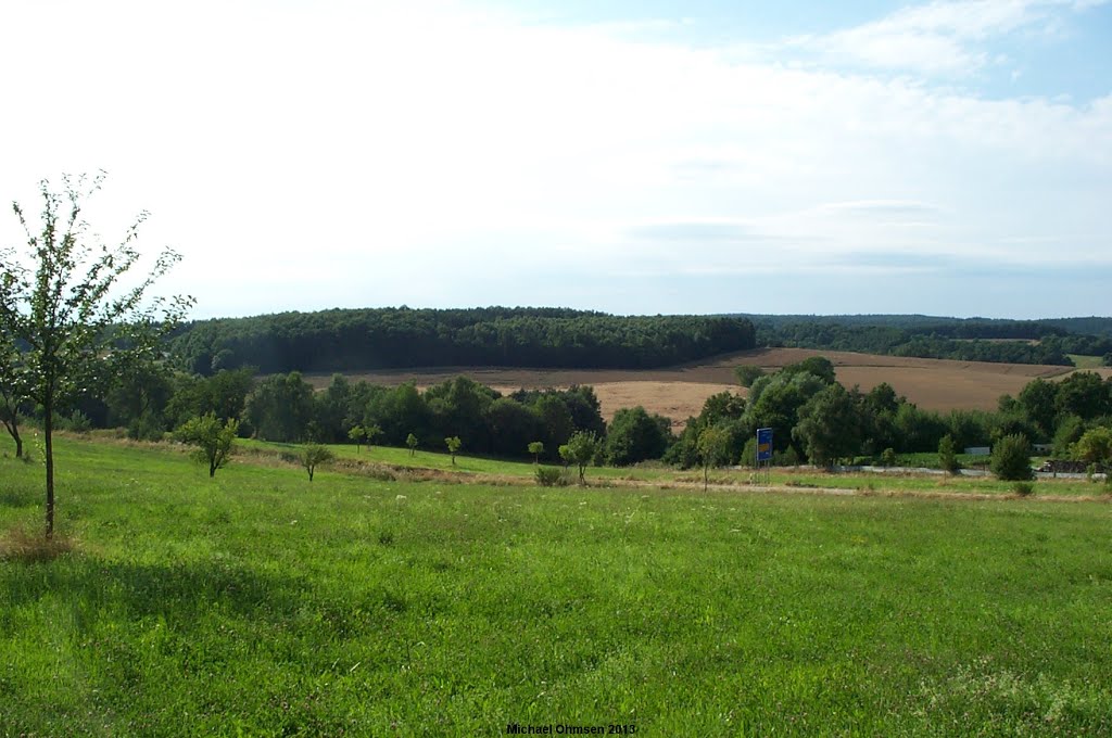 Blick von Sembach auf den Pfälzer Wald by Michael Ohmsen