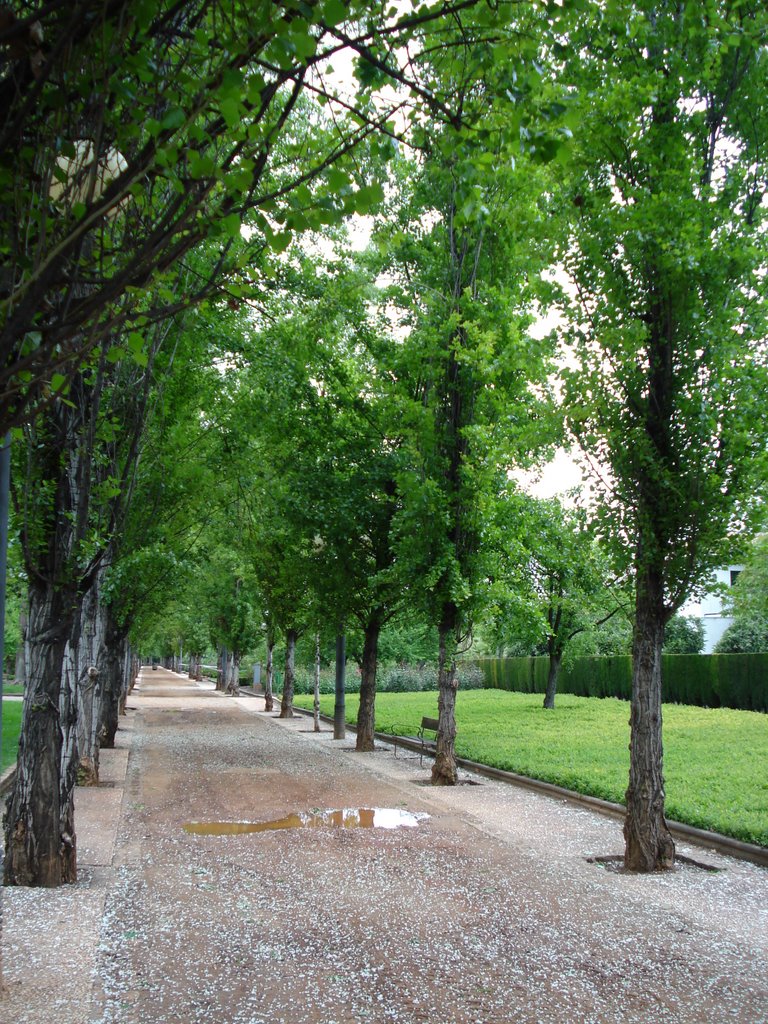 Parque García Lorca by Hornylox