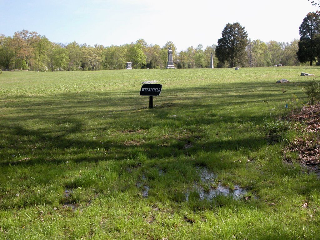 Gettysburg's Bloody Wheatfield, Sickles Avenue by Seven Stars