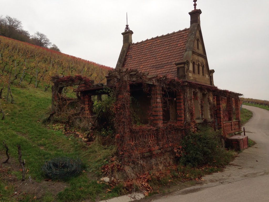 Unter dem Wartberg (Herbst 2013) by hn's