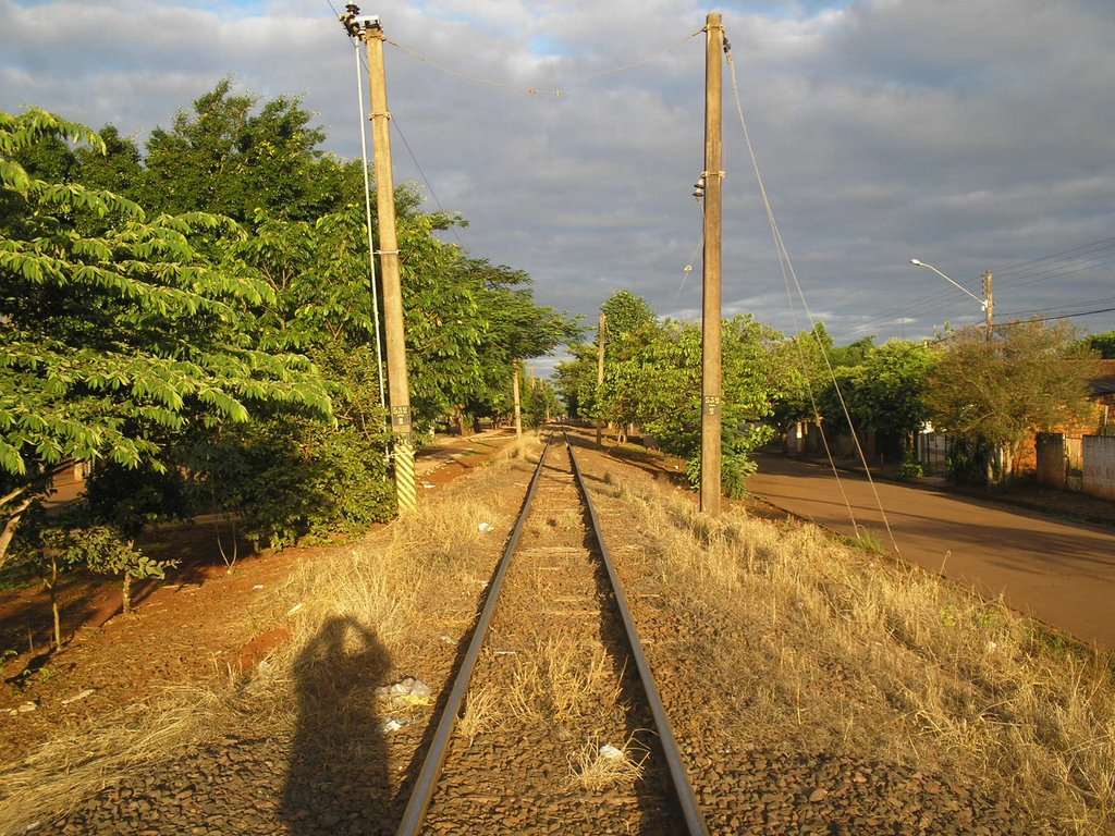 Saindo de Cândido Mota by PC Felizardo