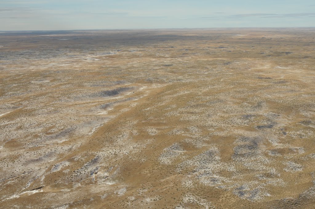 Aerial View, The Sandhills by John Sidle