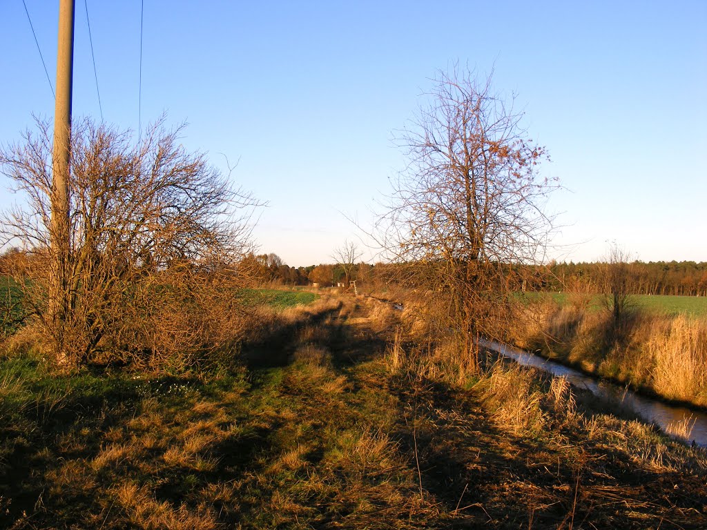 03205 Gemeinde Zinnitz, Ortsteil Bathow, Niederlausitz, Germany. Die Dobra südlich von Bathow im Abendlicht by velthurvik