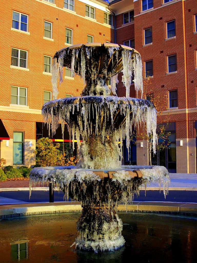 Sea Gull Square Fountain Frozen on 21 Degree Morning by Nick5