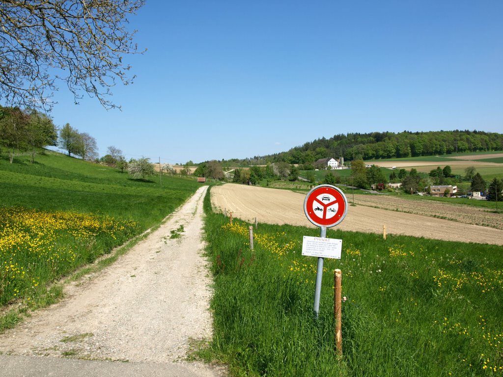 Sicht auf Wannen-Weg (Buchs ZH, Mai 2008) by Nils Wanner