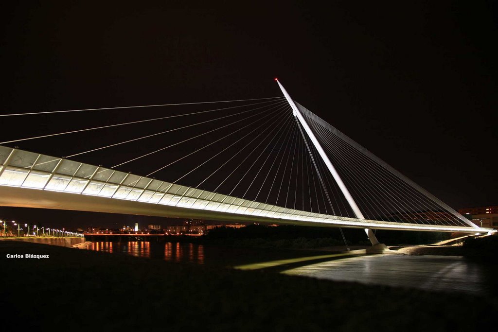 Puente de Javier Manterola desde la margen izquierda by carlosbh