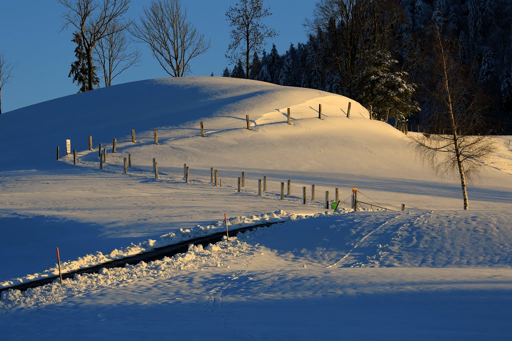 Weg vom Gfell zum Hörnli by rudolf dubs