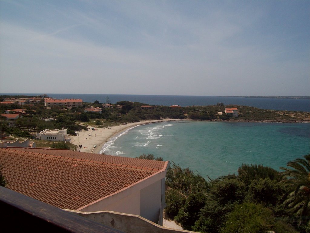 Panorama dalla torre by steelmax68